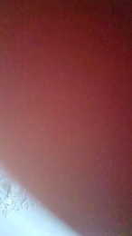 HairyPoilus webcam cam4 model stream image
