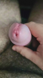 HairyPoilus webcam cam4 model stream image
