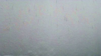 BergischerBaer webcam model stream image
