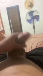 comedor2081 webcam model stream image