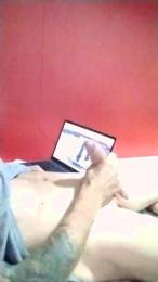 Lizard3 webcam model stream image