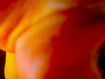 COUPLEPEINXXX webcam model stream image