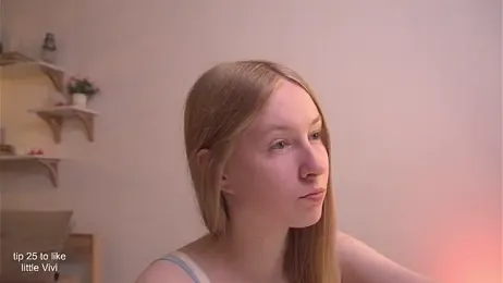 ViviRi webcam model stream image