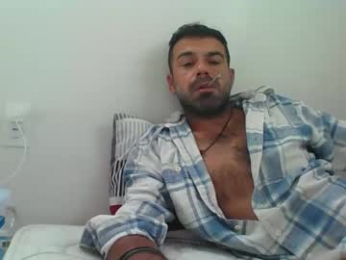 mercedes190d webcam model stream image
