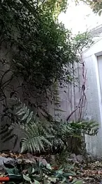 Vyda4 webcam stripchat model stream image