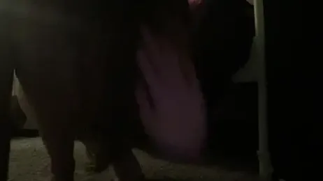 ZoeyandMac webcam model stream image