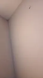 sexy_tulip webcam model stream image