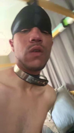 hoodboyjay251 webcam model stream image
