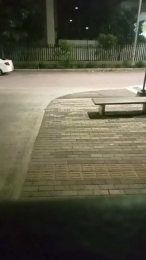 Thekingzeus webcam model stream image
