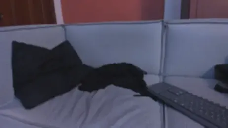 kayla_hasab webcam model stream image