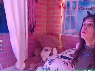 foxy-pet webcam model stream image