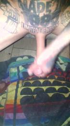 Grey25cm webcam cam4 model stream image