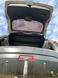 Fuck_Trailer_Hitch webcam model stream image