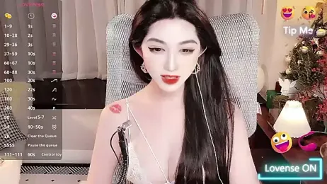 vyizh- webcam model stream image
