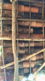 Labuta23 webcam model stream image