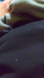 Tuinkognita webcam model stream image