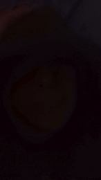 Tuinkognita webcam model stream image