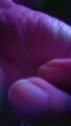 Gamberetto_84 webcam model stream image