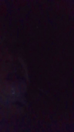 Lasanta69 webcam model stream image