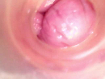 Shannon-kane webcam model stream image