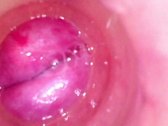 Shannon-kane webcam bongacams model stream image