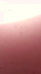 Petitebombe34 webcam model stream image