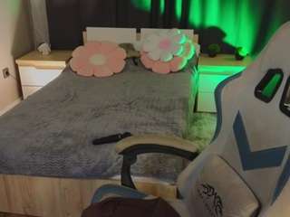 zelda11 webcam model stream image