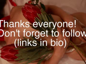 _protea webcam model stream image