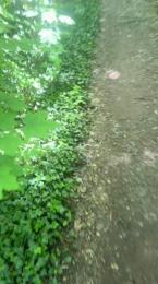 liegeois webcam model stream image