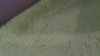 Lilidelice webcam model stream image