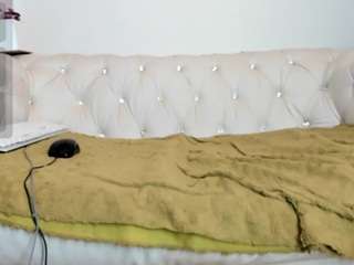 sophia-dss webcam model stream image