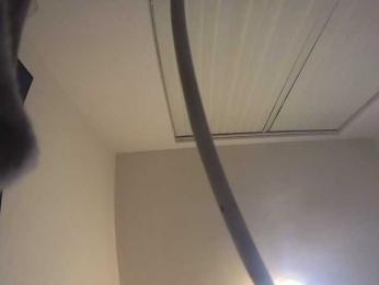kotkite webcam model stream image