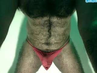 alexcsp webcam model stream image