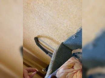 -mur- webcam model stream image