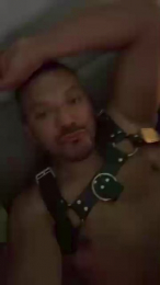 daddybearmadri5 webcam model stream image