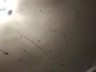 deebabyy85 webcam camsoda model stream image