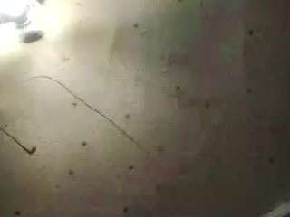 deebabyy85 webcam model stream image