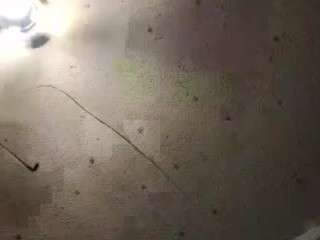 deebabyy85 webcam model stream image