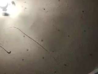 deebabyy85 webcam model stream image