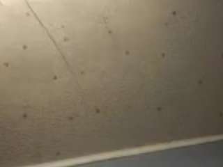 deebabyy85 webcam model stream image