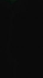 Joshissingle31 webcam model stream image