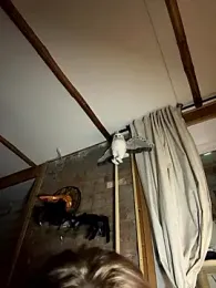 Only_April webcam model stream image