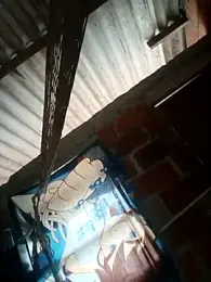 nini-will webcam stripchat model stream image