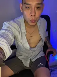 latava webcam model stream image