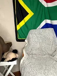 DR-ANIMAL webcam model stream image