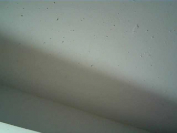 JULIETA7777 webcam model stream image