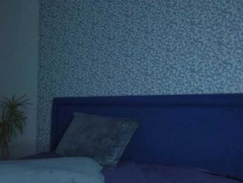 Kristi_Wolf webcam model stream image