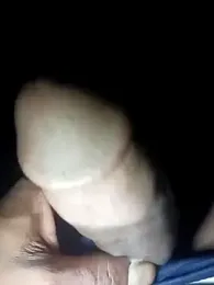 Bengali_BULL1 webcam model stream image