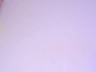 mirandaoconorx webcam model stream image