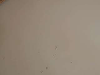 mirandaoconorx webcam model stream image